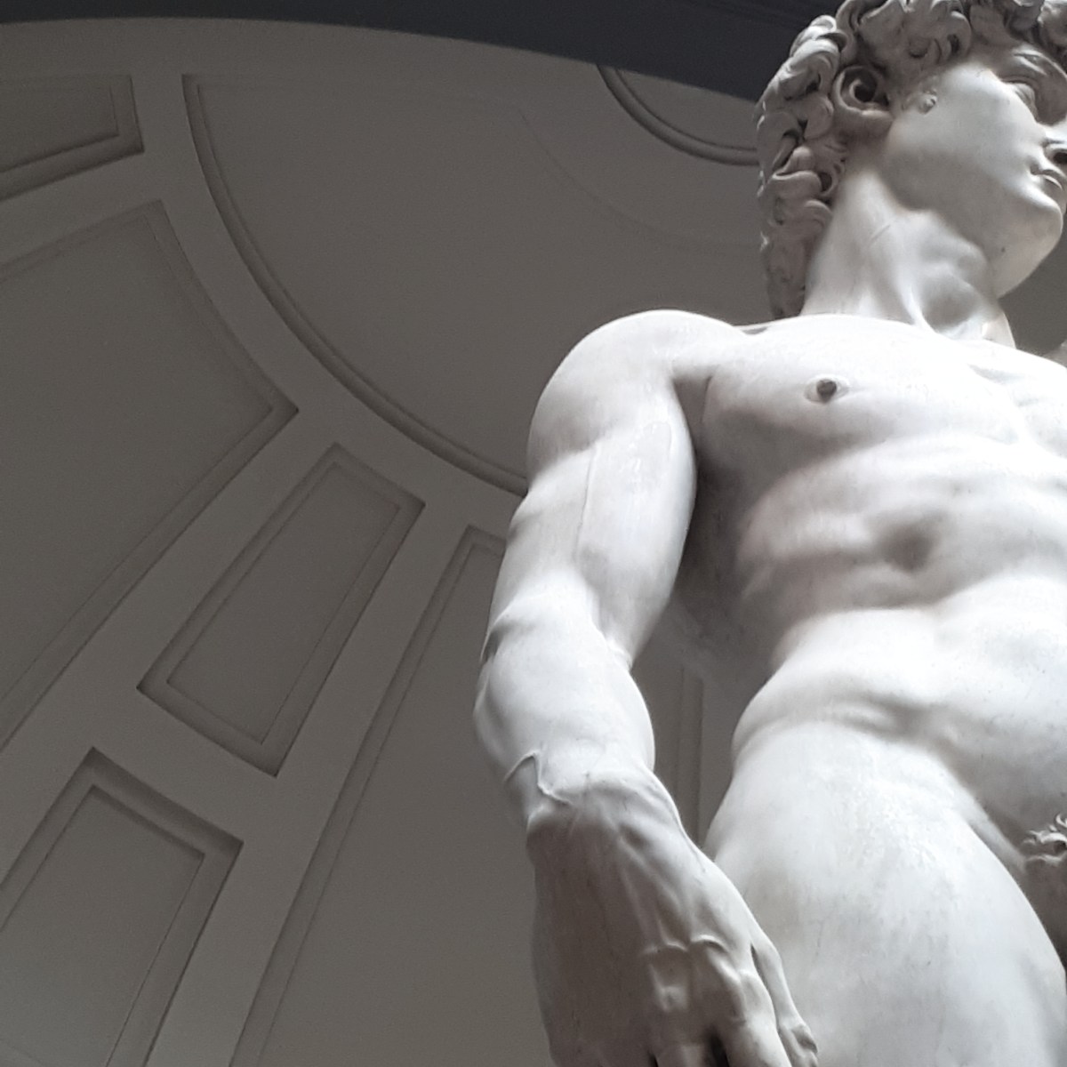 Following Michelangelo