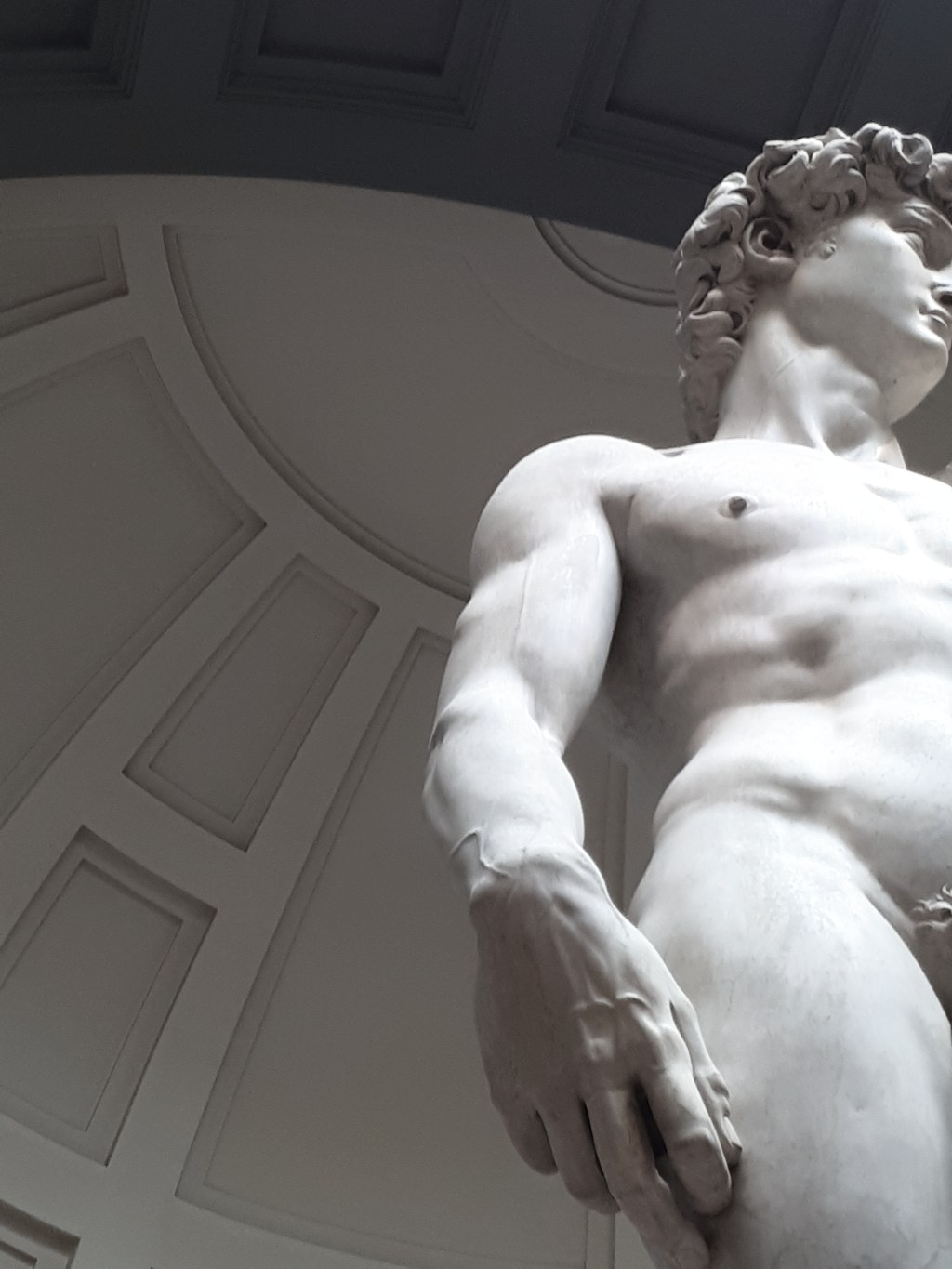 Following Michelangelo