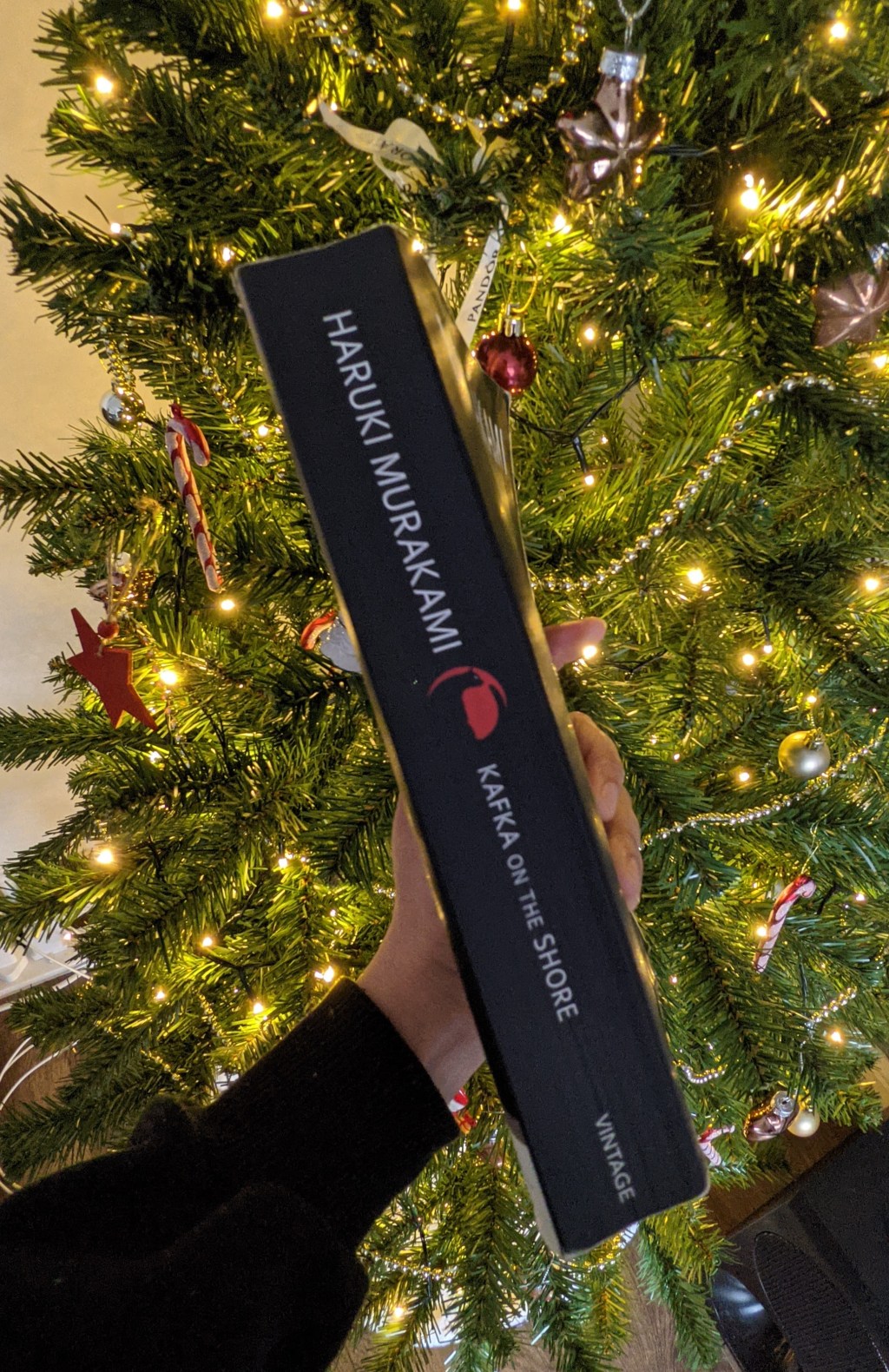 5 Books that aren’t Christmas-y… but are perfect for the&nbsp;Holidays