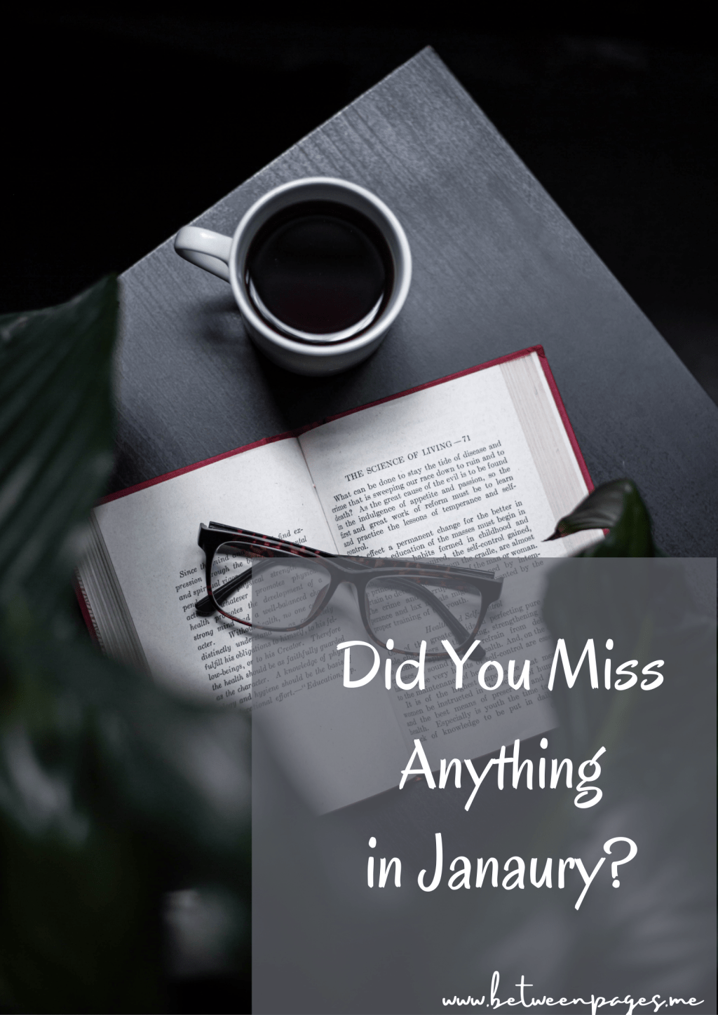 Did You Miss Anything in&nbsp;January?