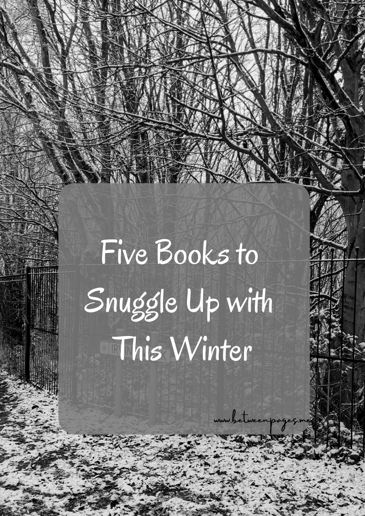 Five Books to Snuggle Up with This&nbsp;Winter