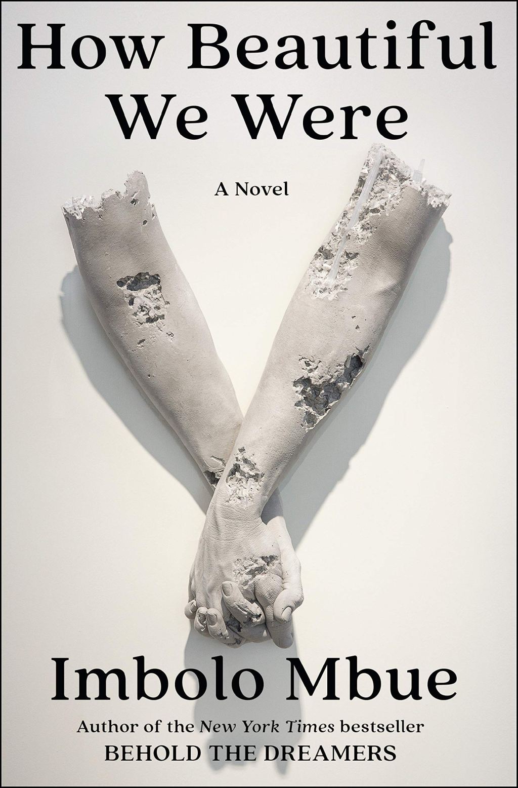 March ’21 Book of the Month – How Beautiful We&nbsp;Were